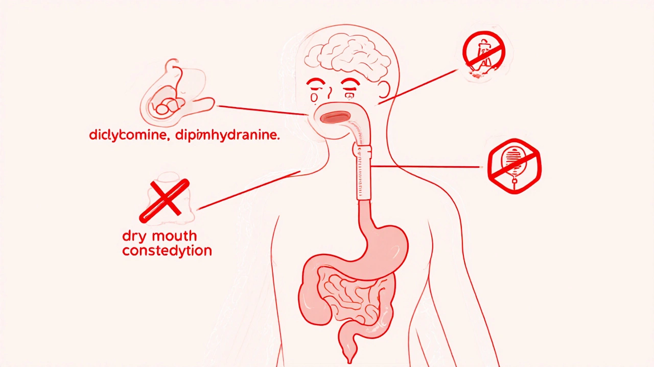 Antispasmodics and Anticholinergic Drug Interactions: What You Need to Know