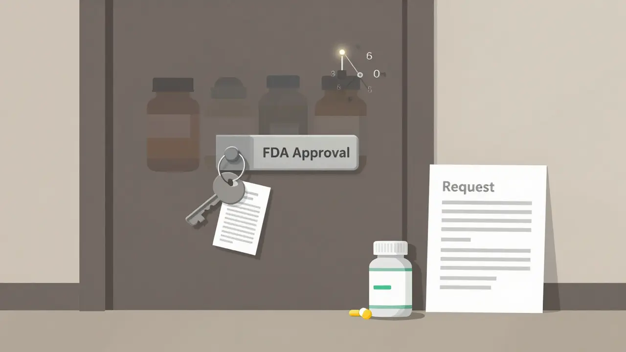 A locked FDA approval door blocked by a six-month timer, with a branded pill and written request outside.