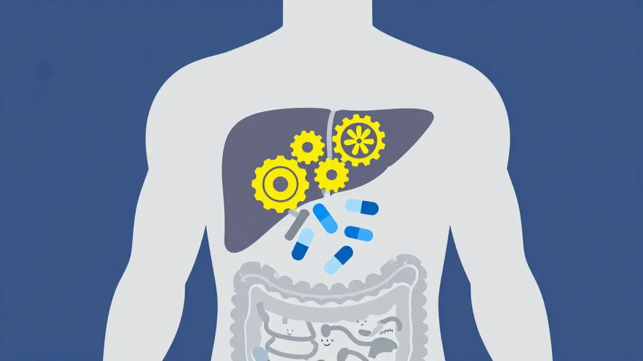 Abstract diagram showing enzymes accelerating drug metabolism in the body.
