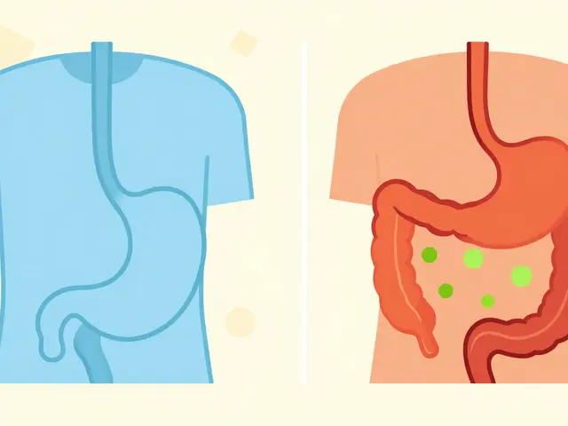Fasted vs Fed State Testing: Why Both Conditions Matter for Bioequivalence